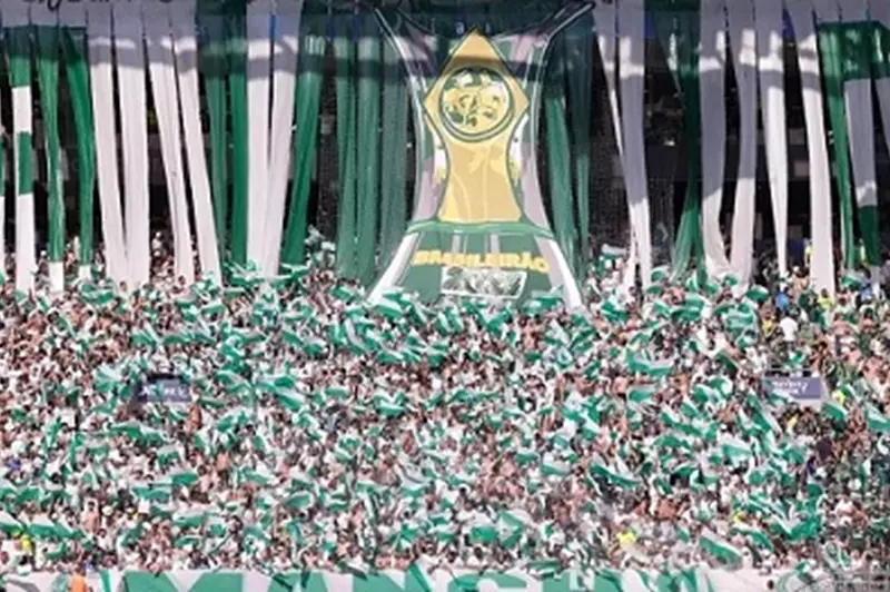 جماهير بالميراس جماهير بالميراس